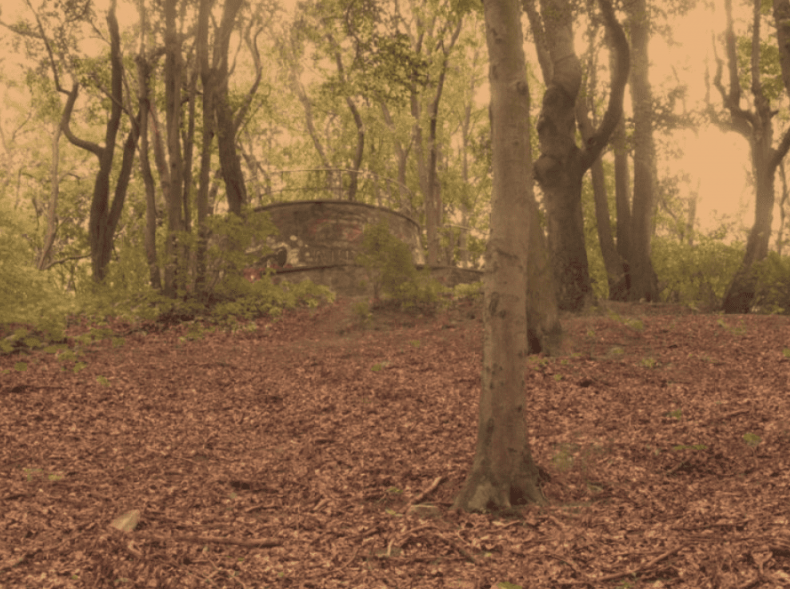 Królewskie Wzgórze w Gdańsku – Malowniczy Widok i Historia