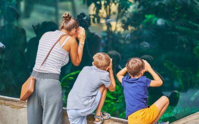 Trójmiasto z dziećmi – TOP 10 atrakcji, które warto odwiedzić całą rodziną